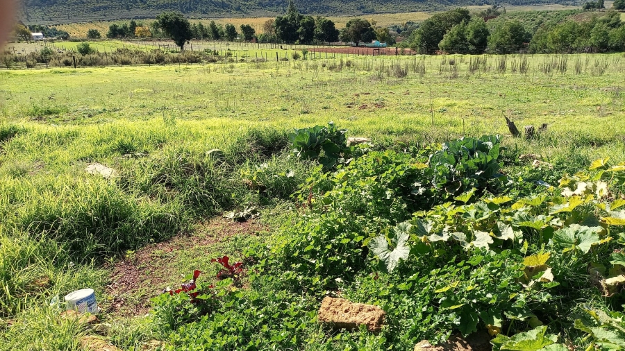 Commercial Property for Sale in Haarlem Western Cape